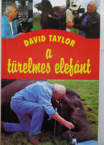 David Taylor - A türelmes elefánt