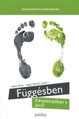 Glied Viktor; Nagy Roland  (szerk.) - F�gg�sben - K�nyszerp�ly�n a j�v�?