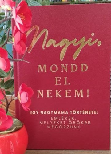 Mittay Emese - Nagyi, mondd el nekem! (Emlékkönyv)