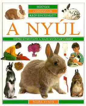 Mark Evans - A nyl