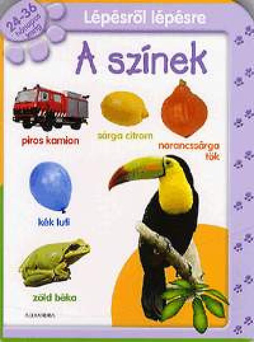 L�p�sr�l l�p�sre: A sz�nek - 24-36 h�napos korig