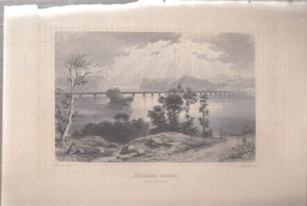 Columbia Bridge - Susquehanna (Columbia-hd, Philadelphia, Pennsylvania, Amerika) (16x23,5 cm lapmret eredeti aclmetszet, 1856-bl)