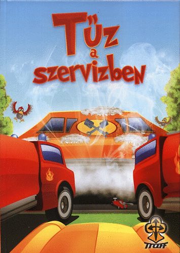 Biharinékun Erika - Tűz a szervízben