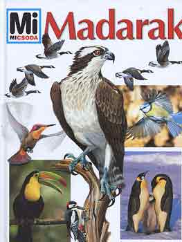 Heinrich Dr. Hoerschelmann - Mi micsoda? - Madarak