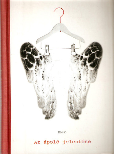 BöZso - Az ápoló jelentése és egyéb mozzanatok