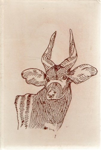 Szuhai Istv�n - Piga, piga!