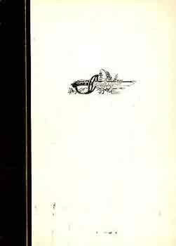 Bajomi Lázár Endre - Az üstökös