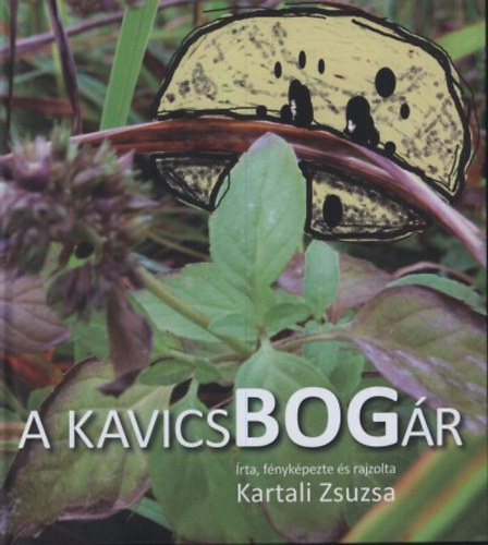 Kartali Zsuzsanna - A kavicsbogr