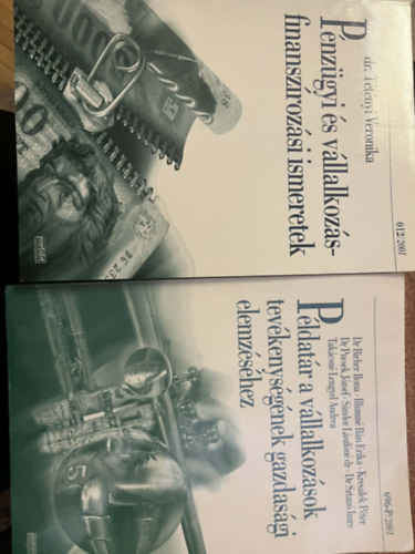 Dr. Blumn� B.E. Dr.Birher I. T�t�nyi Veronika - P�ldat�r a v�llalkoz�sok gazdas�gtan�hoz + P�nz�gyi �s v�llalkoz�sfinansz�roz�si ismeretek