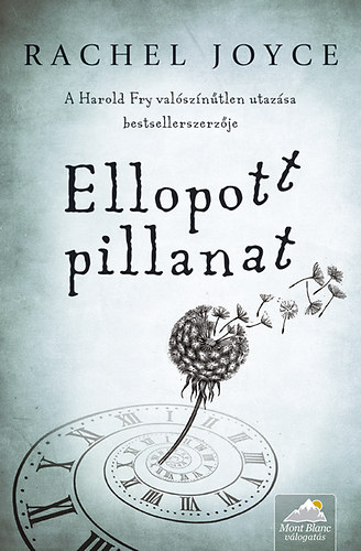 Rachel Joyce - Ellopott pillanat