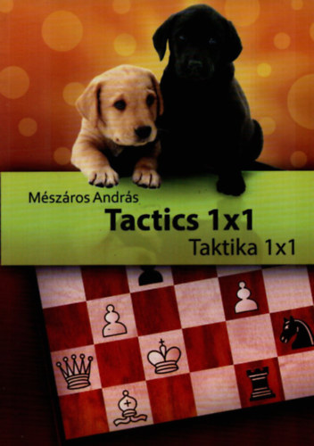 Mszros Andrs - Taktika/ Tactics 1x1