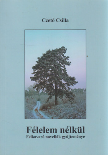 Czető Csilla - Félelem nélkül - Felkavaró novellák gyűjteménye