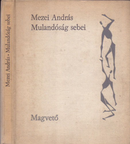 Mezei András - Mulandóság sebei (Hanglemez melléklettel)