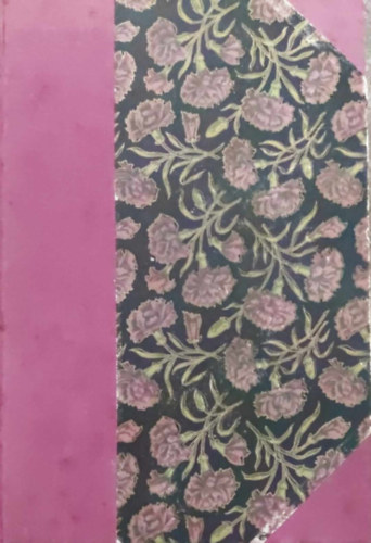 Hugo Viktor - Bug Jargal