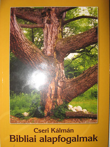 Cseri Klmn - Bibliai alapfogalmak