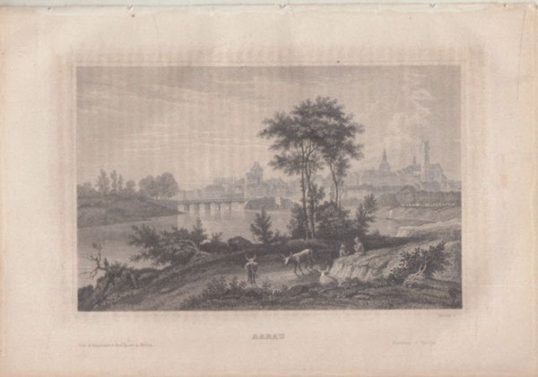 Aarau (vros, Svjc, Eurpa) (16x23,5 cm lapmret eredeti aclmetszet, 1856-bl)