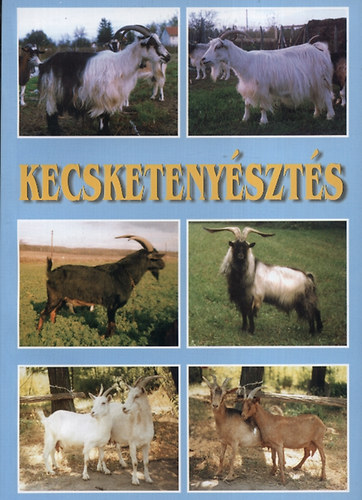 Dr. Molnár Ágnes, Molnár József, Dr. Tóth Sándor, Dr. Tűz Antal Molnár Andrea - Kecsketenyésztés