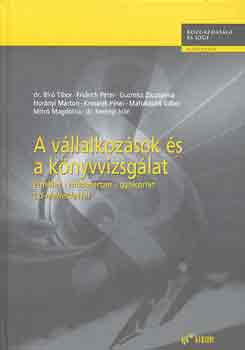 Dr. Br-Fridrich-Guzmics - A vllalkozsok s a knyvvizsglat (elmlet, mdszertan, gyakorlat)