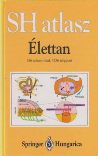 Agamemnon Despopoulos - Sh atlasz-lettan