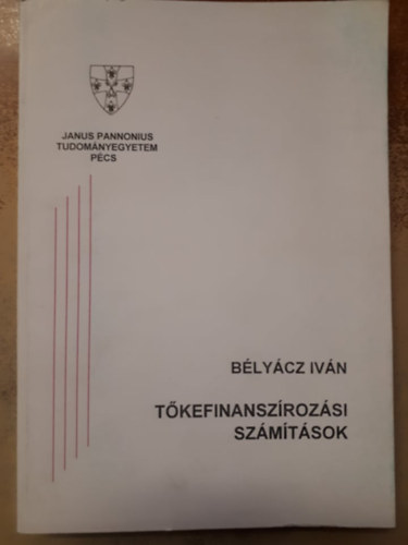 Blycz Ivn - Tkefinanszrozsi szmtsok