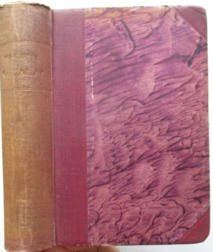 Turgenyev - Őstalaj-A nemesi fészek