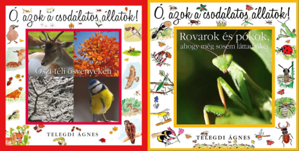 Telegdi gnes - 2 db az , azok a csodlatos llatok sorozatbl: szi-tli svnyeken + Rovarok s pkok, ahogy mg sosem lttad ket