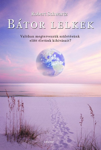 Robert Schwartz - B�tor lelkek