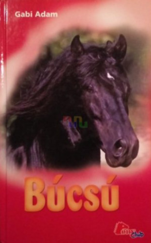 Gabi Adam - B�cs� (PonyClub)