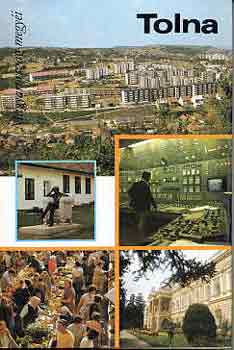 Szabó Géza (szerk.) - Tolna (Magyarország megyéi)