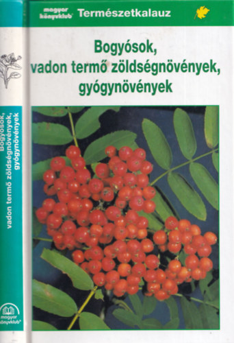 Grau-Jung-Münker - Bogyósok, vadon termő zöldségnövények, gyógynövények (Természetkalauz)