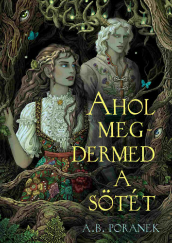 A. B. Poranek - Ahol megdermed a sötét