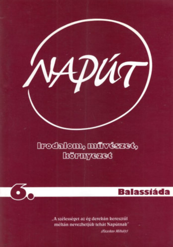 Kovcs Ildik Bognr Antal - Napt VI. vf. 6. szm 2004. augusztus