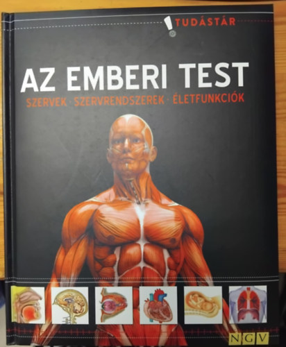 Az emberi test (Szervek, szervrendszerek, �letfunkci�k)- Tud�st�r