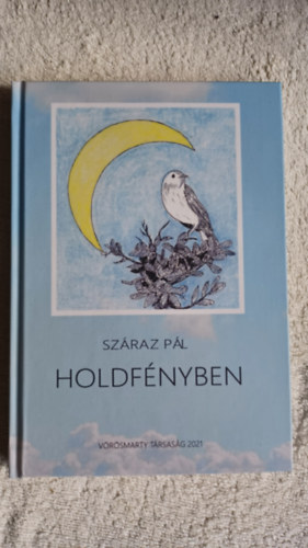 Sz�raz P�l - Holdf�nyben