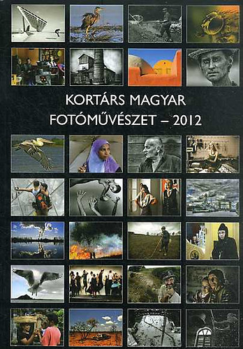 Gyri Lajos  (szerk) - Kortrs magyar fotmvszet 2012