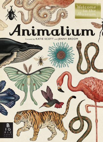 Jenny Broom Katie Scott - Animalium: Welcome to the Museum