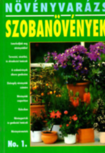 Dr. Lászay György (szerk.) - Szobanövények (Növényvarázs)