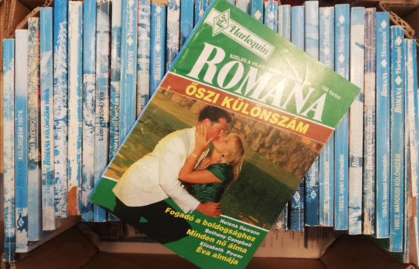 31 db Romana romantikus fzet klnszm