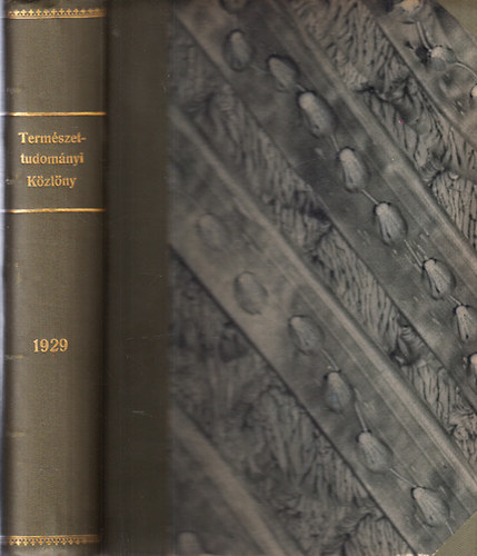 Ilosvay-Gombocz-Szab�-Patay - Term�szettudom�nyi k�zl�ny 1929
