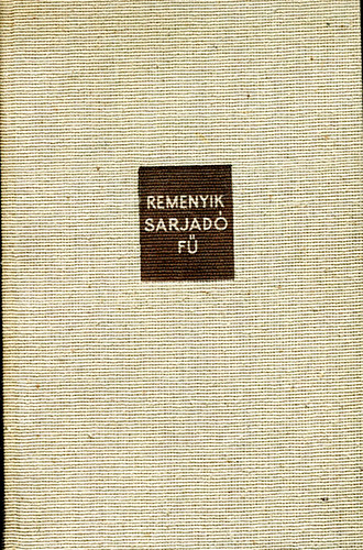 Remenyik Zsigmond - Sarjad f