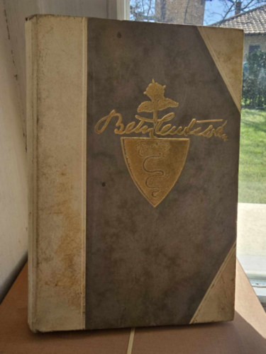 Sebess D�nes - Bethlen Istv�n Gr�f - T�rt�nelmi korrajz, Egy kortt�rs feljegyz�sei