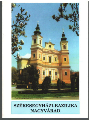 Bunyitay Vincze - Szkesegyhzi-Bazilika Nagyvrad