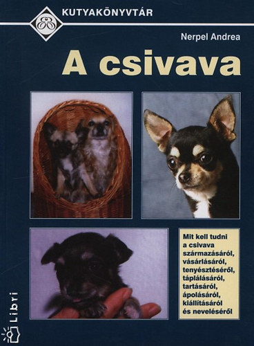 Nerpel Andrea - A csivava