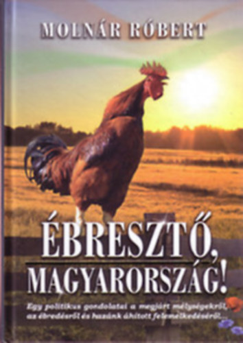 Molnr Rbert - breszt Magyarorszg !- Egy politikus gondolatai a megjrt mlysgekrl, az bredsrl s  haznk htott felemelkedsrl....