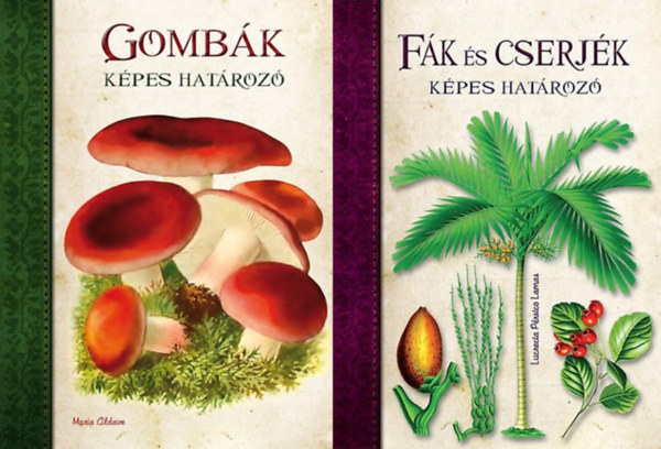 Lucrecia P�rsico Lamas Mar�a Aldave - 2 db k�ny a K�pes hat�roz�k sorozatb�l: Gomb�k - K�pes hat�roz� + F�k �s cserj�k - K�pes hat�roz�