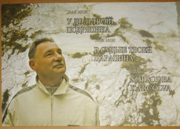 Gaál Áron - Sorsodba karcolva