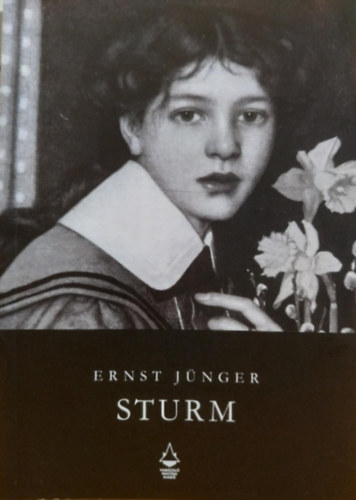 Varázsló Macska kiadó Ernst Jünger - Sturm