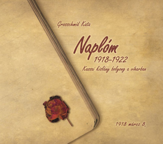 Grossschmid Kata - Naplm 1918-1922