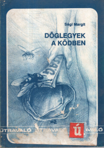 Sági Margit - Döglegyek a ködben