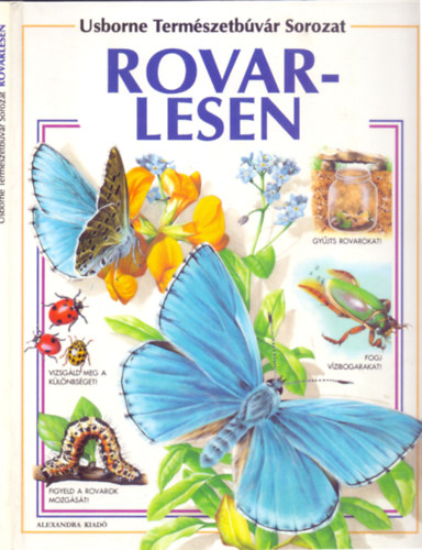 Ruth Thomson s Margaret Stephens - Rovarlesen (Usborne Termszetbvr Sorozat)